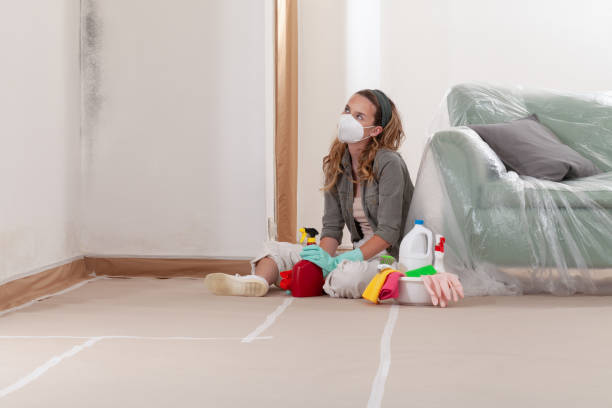 Reliable Mold Removal contractor in Glen Head, NY by WQB Mold Removal